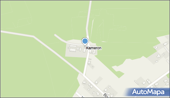 Saas, Kameron 1, Mikołeska 42-690 - Przedsiębiorstwo, Firma, NIP: 1132537536