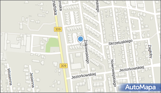 Sadowski Zbigniew Alabaster, Chocimska 24, Leszno 64-100 - Przedsiębiorstwo, Firma, NIP: 6971326150