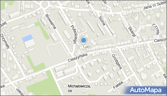 122896884, SafeIT Mateusz Wędzicha 