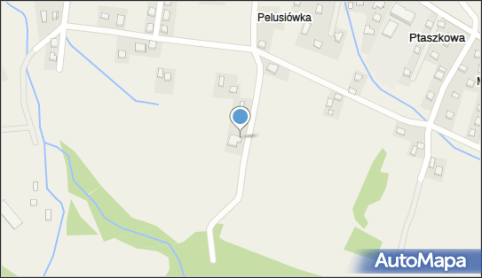 7343162734, Paweł Radzik - Safeportal 