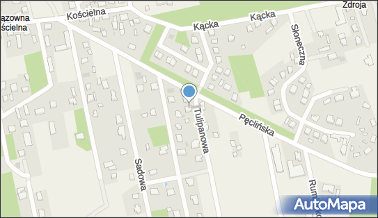 Sageo Pracownia Geodezyjna MGR Inż.Anna Małachowska, Wiązowna 05-462 - Przedsiębiorstwo, Firma