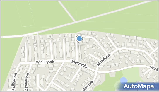 Sale-Sport Michał Mroczkowski, Wyspowa 18, Bydgoszcz 85-435 - Przedsiębiorstwo, Firma, NIP: 9671300610