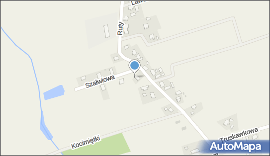 5992490782, Sallux Damian Sawicki 