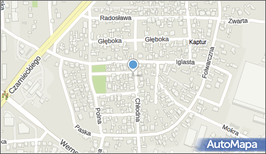 Salon Kosmetyczny Dla Zwierząt Sasi Bogumiła Koperkiewicz, Radom 26-600 - Przedsiębiorstwo, Firma, NIP: 7961004965