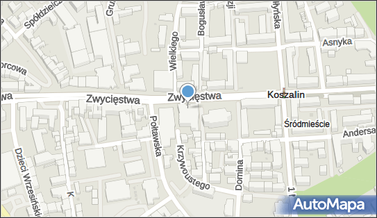 4990256254, Salon Odzieży Damskiej 