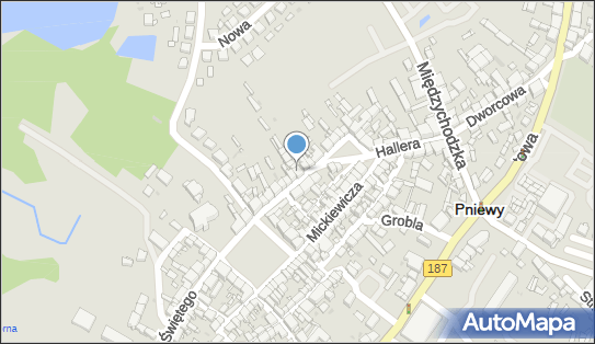 Salon Paznokci She Nails, ul. św. Wawrzyńca 8, Pniewy 62-045 - Przedsiębiorstwo, Firma, NIP: 6472478083