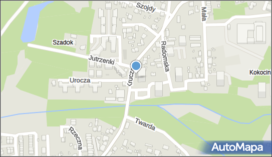 Salon Pielęgnacji Psów Tofik Kuraś Damian, Krucza 24, Katowice 40-758 - Przedsiębiorstwo, Firma, NIP: 6341258576