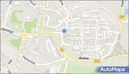 Salon Prasowy Małgorzata Sadowska, Piastów Śląskich 6, Wołów 56-100 - Przedsiębiorstwo, Firma, NIP: 9171063905