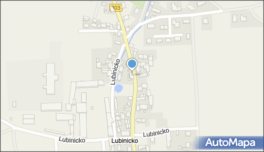 Salus Indywidualna Praktyka Pielęgniarska, Lubinicko 17, Lubinicko 66-200 - Przedsiębiorstwo, Firma, NIP: 9271406948
