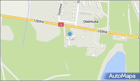 Salutis, Ujska 47, Chodzież 64-800 - Przedsiębiorstwo, Firma, numer telefonu, NIP: 7641341945