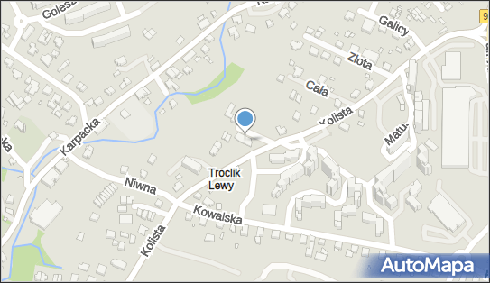 Sam Spożywczy Kleks Nycz Lidia Nycz Alina, Kolista 46 43-316 - Przedsiębiorstwo, Firma, NIP: 5471932504