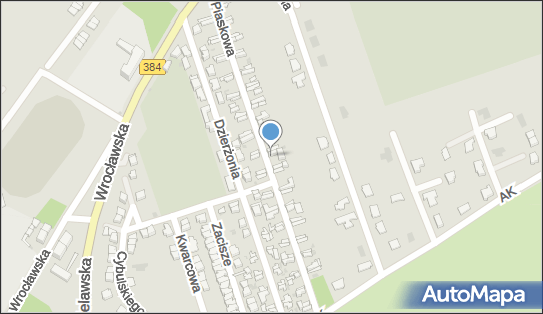 Samir, Piaskowa 39, Dzierżoniów 58-200 - Przedsiębiorstwo, Firma, NIP: 8821385152