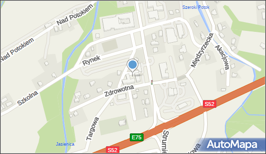 072140535, Samodzielny Gminny Zakład Opieki Zdrowotnej w Jasienicy 