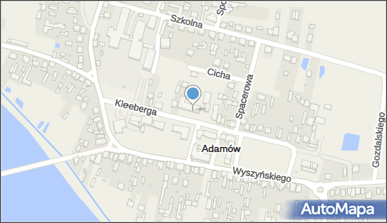 8251777606, Samodzielny Publiczny Zakład Opieki Zdrowotnej w Adamowie 