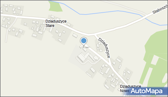 6591331699, Samodzielny Publiczny Zakład Opieki Zdrowotnej w Słaboszowie z Siedzibą w Dziaduszycach 