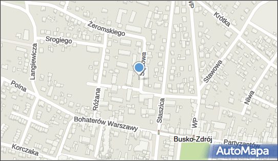 Samodzielny Publiczny Zespół Podstawowej Opieki Zdrowotnej w Busku Zdroju 28-100 - Przedsiębiorstwo, Firma, numer telefonu, NIP: 6551793956