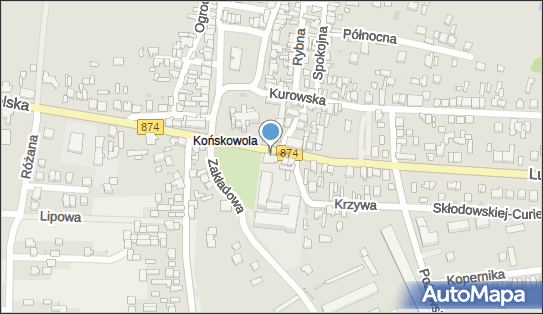 Samorządowa Administracja Placówek Oświatowych w Końskowoli 24-130 - Przedsiębiorstwo, Firma, numer telefonu, NIP: 7162118505