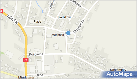 290416490, Samorządowy Ośrodek Zdrowia w Miedzianej Górze z Siedzibą w Kostomłotach II 