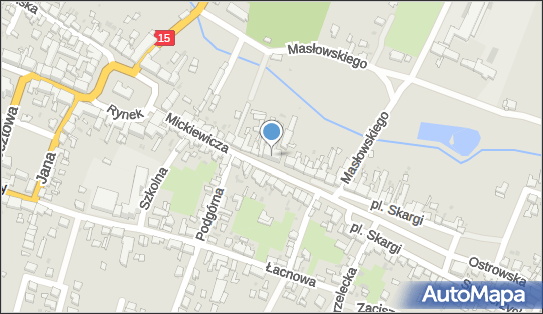 Sanare Usługi Pielęgniarskie, ul. Mickiewicza 21, Zduny 63-760 - Przedsiębiorstwo, Firma, numer telefonu, NIP: 6211014597