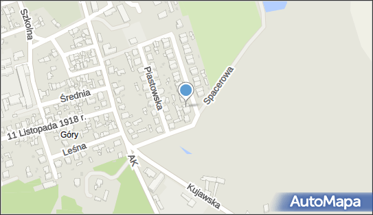 Sanbut Hurt Detal Obuwia Galanterii i Artukułów Przemysłowych 88-200 - Przedsiębiorstwo, Firma, NIP: 8891429995