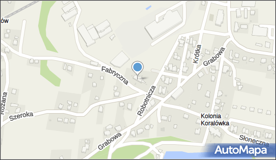 SAP, ul. Fabryczna 4A, Goleszów 43-440 - Przedsiębiorstwo, Firma, numer telefonu, NIP: 5480075726