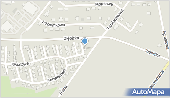 8871029815, F.H.U.Sarna Prawdziwe Lody Jolanta Sarna 