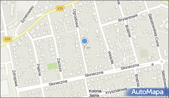 Sawi Firma Handlowa Sklep Spożywczy, ul. Ogrodowa 17, Pszczyna 43-200 - Przedsiębiorstwo, Firma, numer telefonu, NIP: 6381001814