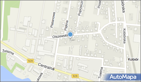Sazan, ul. Karola Olszewskiego 37A, Kobiór 43-210 - Przedsiębiorstwo, Firma, NIP: 6461422653