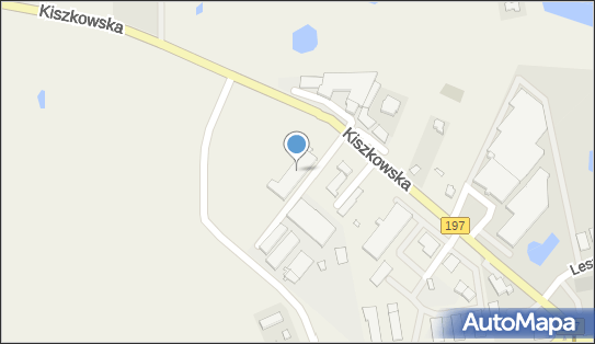 Scanvet Poland, ul. Kiszkowska 9, Skiereszewo 62-200 - Przedsiębiorstwo, Firma, numer telefonu, NIP: 7840003317