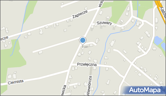 6521098884, Seba Firma Transportowa Usługowo- Handlowa Sebastian Zygmunt 