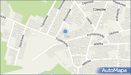 9151567904, Przekwas Sebastian 