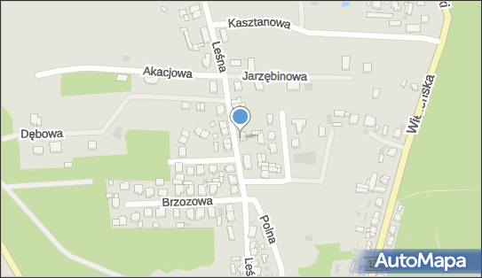 Sebastian Śródecki, Leśna 32, Sieraków 64-410 - Przedsiębiorstwo, Firma, NIP: 5951354533