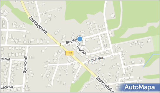 Sebastian Starosta - Działalność Gospodarcza, ul. Bracka 35 A 44-300 - Przedsiębiorstwo, Firma, NIP: 6471022412