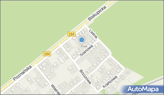 Sebastian Wienke Nika Plus, Sosnowa 7, Kobylnica 62-006 - Przedsiębiorstwo, Firma, NIP: 7791389965