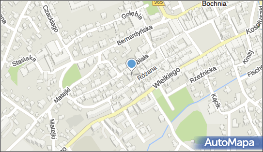 Seguro, Różana 7, Bochnia 32-700 - Przedsiębiorstwo, Firma, NIP: 8681658270