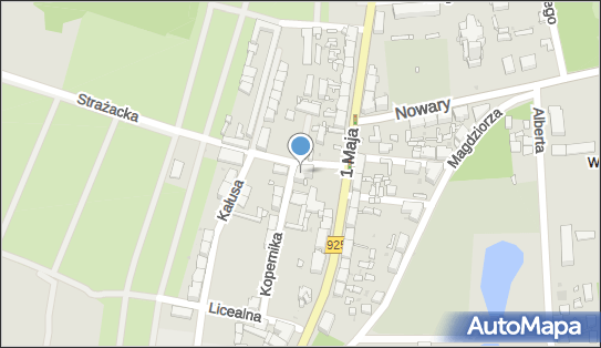 Sekur, ul. Strażacka 3, Ruda Śląska 41-710 - Przedsiębiorstwo, Firma, NIP: 6411729326