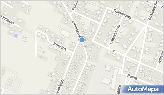 1181660886, Senor sp. z o.o. 