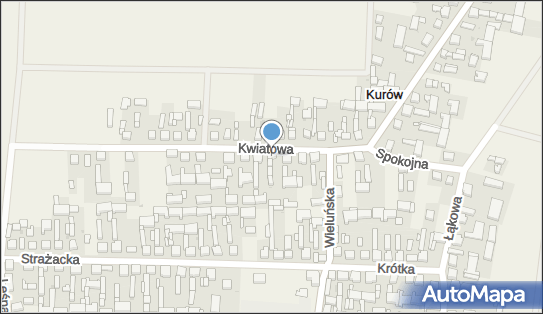 Seweryn Borgul Usługi Ciesielsko-Dekarskie, Kwiatowa 7, Kurów 98-300 - Przedsiębiorstwo, Firma, NIP: 8321760196
