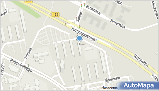 Shina4, os. Oświecenia 23, Poznań 61-206 - Przedsiębiorstwo, Firma, NIP: 6671696061