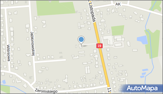 Siemiatyckie Stowarzyszenie Abstynentów Ignis, 11 Listopada 44 17-300 - Przedsiębiorstwo, Firma, numer telefonu, NIP: 5441295228