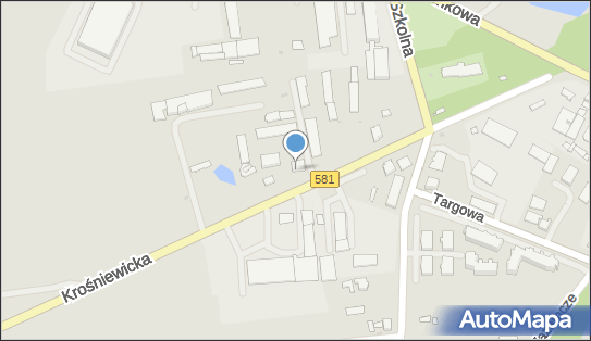 Signaroad, Krośniewicka 5, Gostynin 09-500 - Przedsiębiorstwo, Firma, numer telefonu, NIP: 9710643344