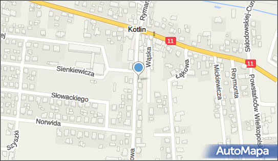 Silia Weronika Krzaczkowska, ul. Dworcowa 15, Kotlin 63-220 - Przedsiębiorstwo, Firma, NIP: 6172046758