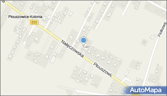 Siwiec Andrzej, Płouszowice-Kolonia 66B, Płouszowice-Kolonia 21-008 - Przedsiębiorstwo, Firma, NIP: 7141083658