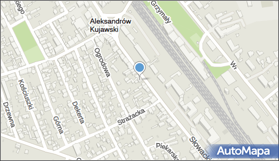 Skammar Art Przemysłowe Agnieszka Renata Kochanowska 87-700 - Przedsiębiorstwo, Firma, NIP: 8911110370