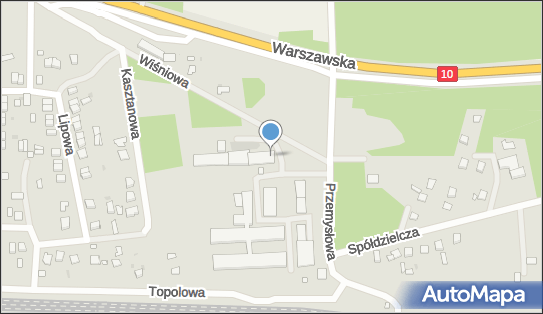 Skęp-Pasz Edward Grzelecki, Przemysłowa 1, Skępe 87-630 - Przedsiębiorstwo, Firma, NIP: 7761171902