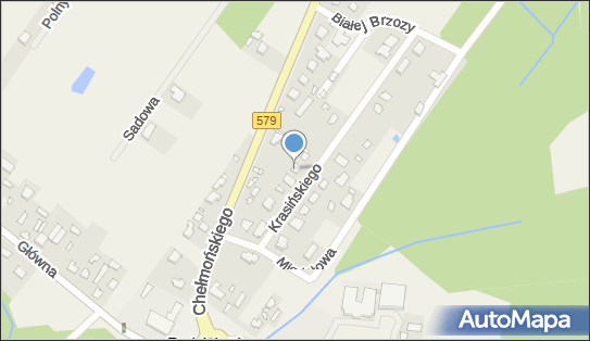 SKIP, ul. Edwarda Krasińskiego 13, Radziejowice 96-325 - Przedsiębiorstwo, Firma, NIP: 5212249020