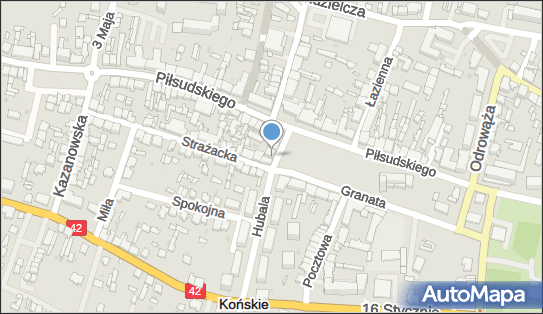 Sklep Alicja Alicja Kocowicz, pl. Kościuszki 6, Końskie 26-200 - Przedsiębiorstwo, Firma, NIP: 6581319484