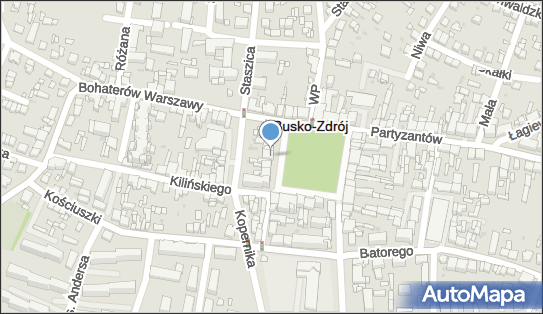 Sklep Artykułów Przemysłowych, pl. Zwycięstwa 5, Busko-Zdrój 28-100 - Przedsiębiorstwo, Firma, numer telefonu, NIP: 6551456555