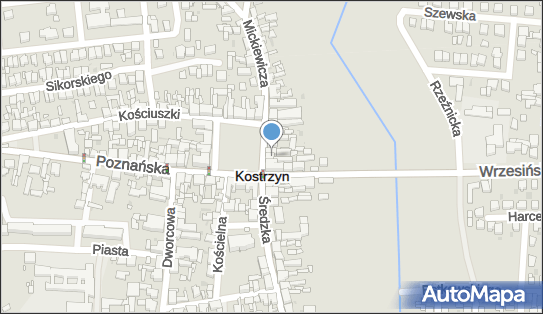 Sklep Artykułów Różnych Acha, Rynek 2, Kostrzyn 62-025 - Przedsiębiorstwo, Firma, numer telefonu, NIP: 7861222444