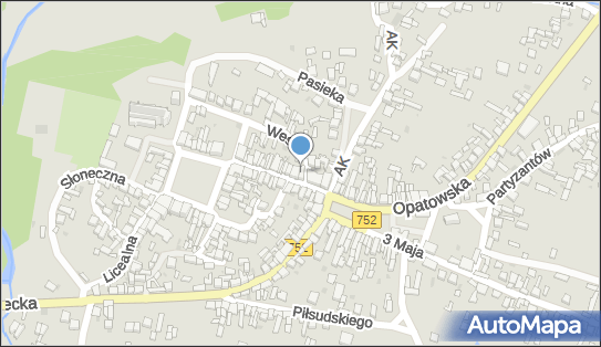 Sklep Chemiczny, ul. Langiewicza 6, Bodzentyn 26-010 - Przedsiębiorstwo, Firma, numer telefonu, NIP: 6641005738